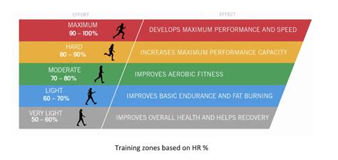 What Is Zone 2 Running and Its Application in Athletic Training